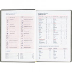 Ежедневник датированный 2026 АТТАСНЕ А5, 180л, 143х210мм, Сиам серый - фото 12