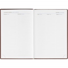 Ежедневник датированный 2026, бордо,А5, 148х218 мм,352 стр,АТТАСНЕ Вива - фото 12