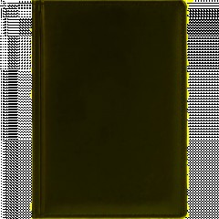 Ежедневник датированный 2026, черный,А5, 148х218 мм,352 стр,АТТАСНЕ Вива - фото 2