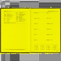 Ежедневник датированный 2026, черный,А5, 148х218 мм,352 стр,АТТАСНЕ Вива - фото 10