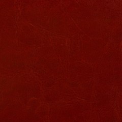 Ежедневник датированный 2026, корич, А5, 148x218 мм,352 стр, АТТАСНЕ Agenda - фото 5