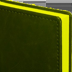 Ежедневник датированный 2026, бордо,А6, 100х150 мм,336 стр,Agenda - фото 2