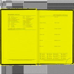 Ежедневник датированный 2026, черный,А6, 100х150 мм,336 стр,Agenda - фото 8