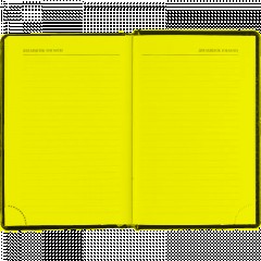 Ежедневник датированный 2026, черный,А6, 100х150 мм,336 стр,Agenda - фото 15