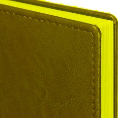 Ежедневник датированный 2026, зеленый,А6, 100х150 мм,336 стр,Agenda - фото 2