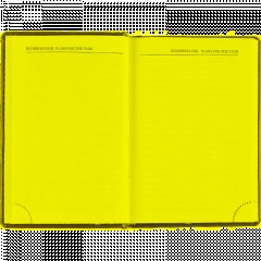 Ежедневник датированный 2026, зеленый,А6, 100х150 мм,336 стр,Agenda - фото 13