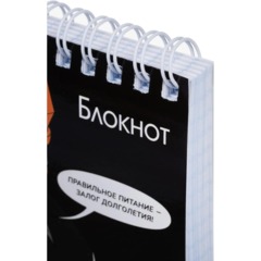 Блокнот А6, 96л, КОЩЕЙ БЕССМЕРТНЫЙ клетка,гребень,УФ-лак/70137 - фото 3