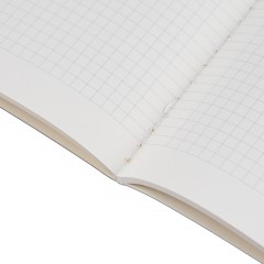 Бизнес-тетрадь А5,Bruno Visconti,MEGAPOLIS 60л.Клетка,7-60-550/28 - фото 8