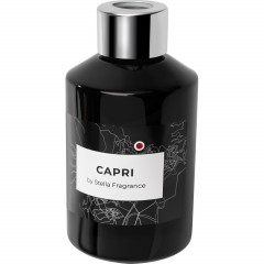 Аромадиффузор Capri, 100мл , SF1446 - фото 3