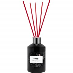 Аромадиффузор Capri, 100мл , SF1446 - фото 4