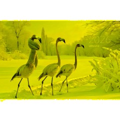 Календарь настенный 3-х блочный 2026 Attache, 305х675, Розовый фламинго,80г - фото 2