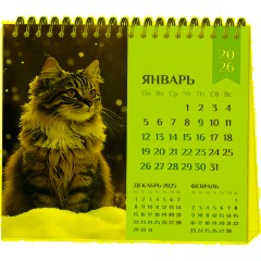 Календарь-домик настольный 2026 Atache, Котенок, 120х110 - фото 2