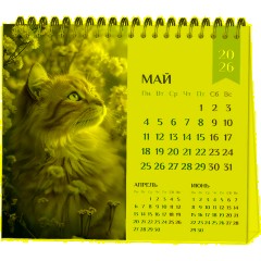 Календарь-домик настольный 2026 Atache, Котенок, 120х110 - фото 3