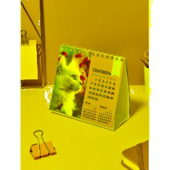 Календарь-домик настольный 2026 Atache, Котенок, 120х110 - фото 9