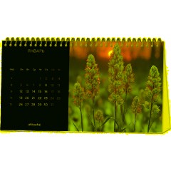 Календарь-домик настольный 2026 Atache, Застывший момент, 240х130 - фото 2