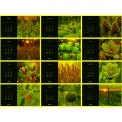 Календарь-домик настольный 2026 Atache, Застывший момент, 240х130 - фото 4