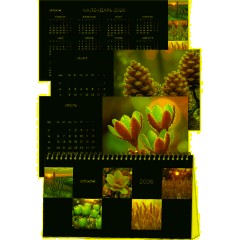 Календарь-домик настольный 2026 Atache, Застывший момент, 240х130 - фото 5