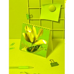 Календарь-домик настольный 2026 Attache, Цветы, 120х110 - фото 9