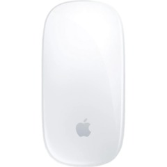 Мышь компьютерная Apple Magic Mouse бел Type-C MXK53ZA/A MXK53Z/A MXK53ZE/A
