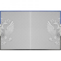 Дневник школьника  ГЕРБ А5+,48л,глянц.66841 - фото 3