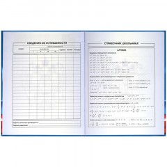 Дневник школьника СИМВОЛИКА ФЛАГ 7БЦ,А5+,48л,глянц. 69753 - фото 9