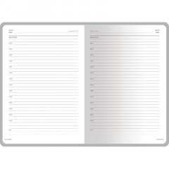 Ежедневник недатированный А5+ SIDNEY NEBRASKA серый,сереб.обр,136л 3-128/22 - фото 3