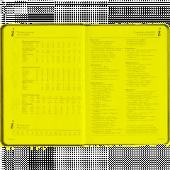 Ежедневник недатированный А5+ SIDNEY NEBRASKA серый,сереб.обр,136л 3-128/22 - фото 13