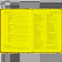 Ежедневник недатированный А5+ CLASSIC оранжевый, 128л 3-689/03 - фото 13