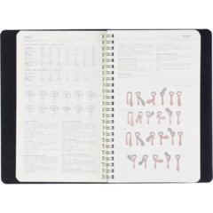 Ежедневник недатированный А5 ALBA черный, 136л 3-783/01 - фото 16