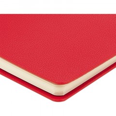 Ежедневник недатированный А5 ALBA красный, 136л 3-783/05 - фото 2