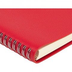 Ежедневник недатированный А5 ALBA красный, 136л 3-783/05 - фото 3