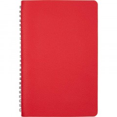 Ежедневник недатированный А5 ALBA красный, 136л 3-783/05 - фото 11