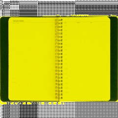 Ежедневник недатированный А5 ALBA красный, 136л 3-783/05 - фото 18