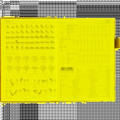 Ежедневник недатированный А5 GRAND золото, 128л 3-774/13 - фото 13