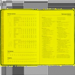 Ежедневник недатированный А5 LYON синий, 136л 3-684/01 - фото 13