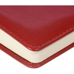 Ежедневник недатированный A5 PRESTIGE красный, 160л 3-352/04 - фото 6