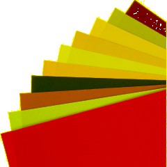 Бумага цветная Attache Multicolor А4,80г(10цв.интенсив,пастель по 10л)100л - фото 3