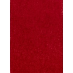 Бумага тишью цветная А4, 10л. 10цв. папка С3254-04 - фото 3