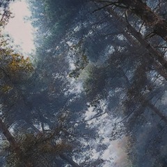 Ежедневник недатированный 7БЦ, пленка глянц., А5,128л, Выбор есть, Тайга - фото 3