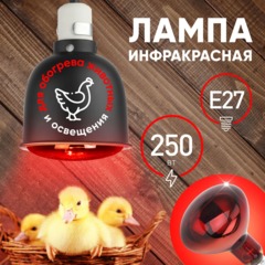 Лампа инфракрасная ЭРА ИКЗК 220-250 R127 для обогрева животных 250 Вт Е27 - фото 4