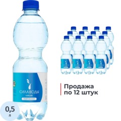 Вода минеральная Сила воды Карелия природ стол питьевая газ ПЭТ 0,5л СПб