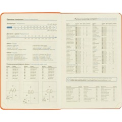 Ежедневник недатированный Attache А5 160л 138x213мм оранжевый - фото 12