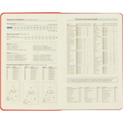 Ежедневник недатированный Attache А5 160л 138x213мм красный - фото 12