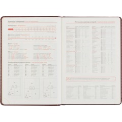 Ежедневник датированный 2027 Attache А5 168л 143x210 коричн (золотист срез) - фото 11