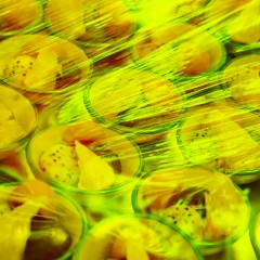 Пленка пищевая Пленка пищ. п/э 30см х 300м 7,5 мкм белая - фото 5