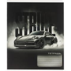 Тетрадь 12л, клетка,А5+ ФОРСАЖ,ассортимент 70902 - фото 2