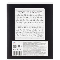 Тетрадь 12л., косая линия,А5+ ОГНЕННЫЙ ДРАЙВ,ассортимент 70203 - фото 12