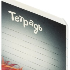 Тетрадь 18л., линия,А5+ ЗАБАВНЫЕ ЖИВОТНЫЕ,ассортимент 68561 - фото 8