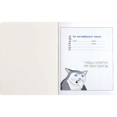 Тетрадь предметнaя АНГЛИЙСКИЙ ЯЗЫК'КОТЫ МЕМЫ'48л,А5+,кл,справ.инф/69828 - фото 3