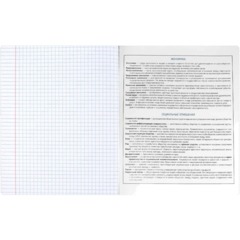 Тетрадь предметнaя ОБЩЕСТВОЗНАНИЕ 'КОТЫ МЕМЫ' 48 л,А5+,клет,справ.инф/69833 - фото 6
